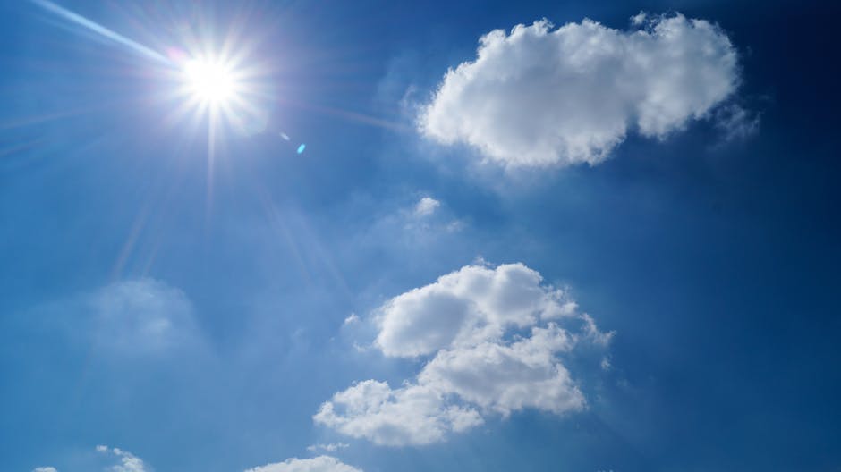 자가 소비용 태양광 패널 – 설치로 얼마나 절약할 수 있나요?