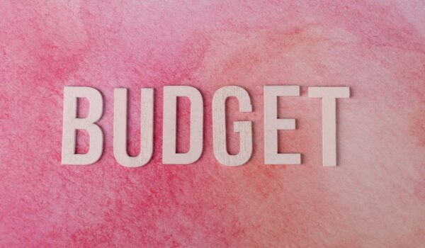 남자 핑크 슈트로 Bhe Budget의 매력적인 모습을 판매합니다.